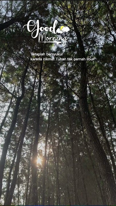 Selamat pagi sabtu #shorts #quotes #shortvideo #pagi