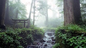 Thumbnail of Ikue Asazaki - Ikyunnyakana