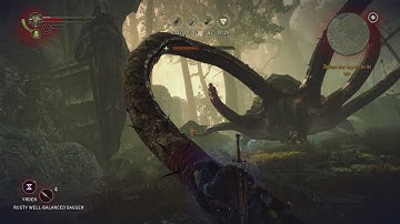 The Witcher 2 - The Kayran: Defeat The Kayan In It