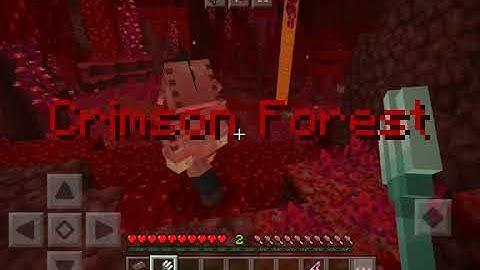 Way of the nether | part 2