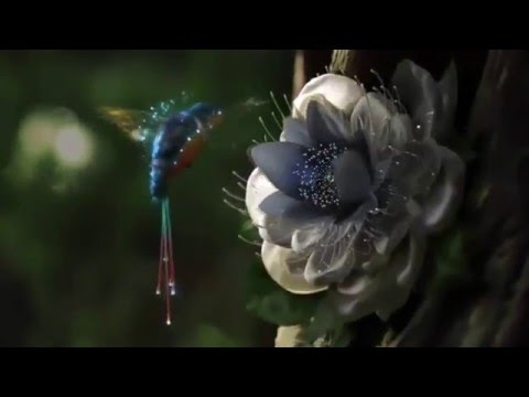 أجمل نشيد تسمعه بصوت المبدع حسين الاكرف