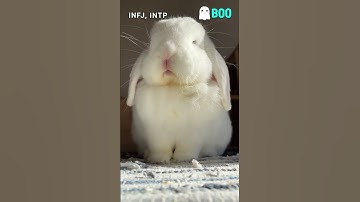 Our minds are roller coaster 🎢 #booapp #personalitytypes #16personalities #INFJ #INTP