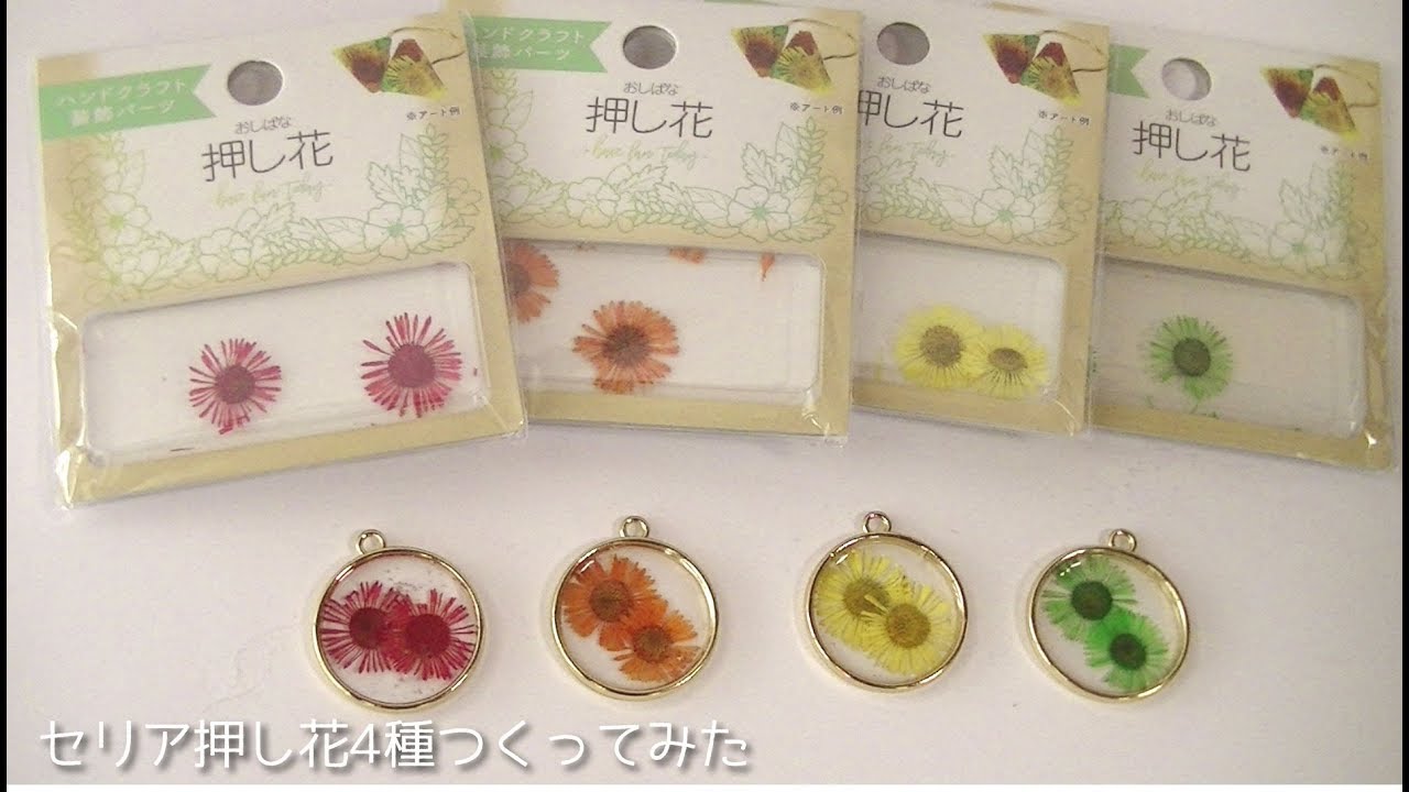 100均新レジンパーツ Seriaの押し花4種キクuv Resin Flower Youtube