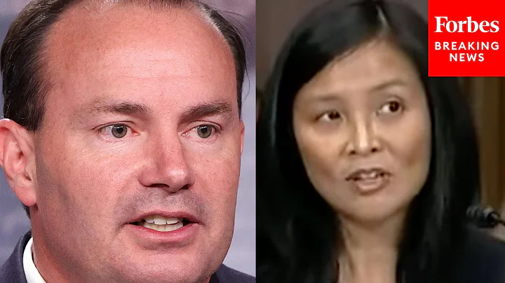 'Would Those Be Defamatory?': Mike Lee Grills Jenn...