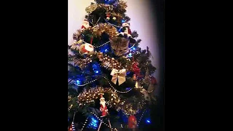 Video 604591: british shorthair bengal, british shorthair kittens, british shorthair cross