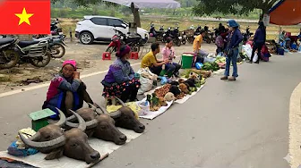 Vietnam's Unique Morning Market - Real Local Life You've Never Seen