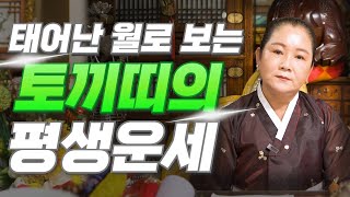 [토끼띠 운세] 태어난 월로 보는 토끼띠의 평생 운세! 토끼띠 중 복을 타고난 월생은?! 2025년 토끼띠에…