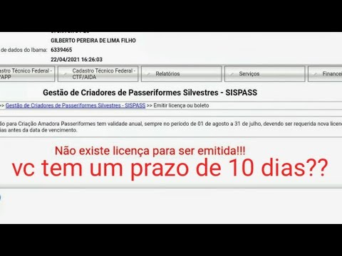 Cadastro Ibama Liberado qual prazo para pow Ave na Relação