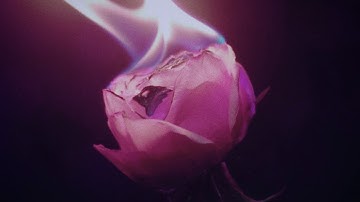 AMETHYST - HIGH SPEED (Official Music Video)