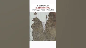 Вера в ребенка на примере медведицы и медвежонка