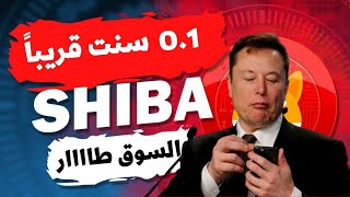 عمله gala انفجرت وعمله الشيبا الي القمه والبيتكوين صعود خرافي قادم ?shib