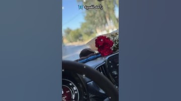 راحه نفسيه 🤍 #قران_كريم #اكسبلور #تلاوة_خاشعة #دويتو #شلتنا #لايك #اهميه #العيد #duet #اعتني