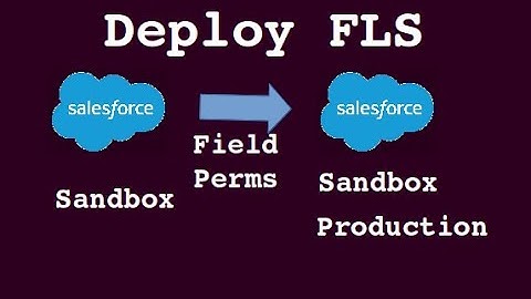 Deploy Field Permissions