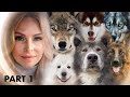 TOP 10 DOGS THAT LOOK LIKE WOLVES - PART 1