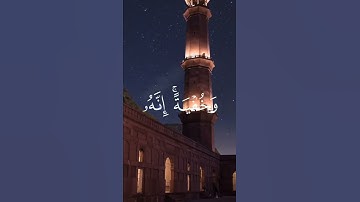 المنشاوي سورة {الأعراف ٱدْعُواْ رَبَّكُمْ تَضَرُّعًا وَخُفْيَةً ۚ }❤️❤️