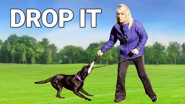The FASTEST Way To Teach Your Dog Drop It Command!