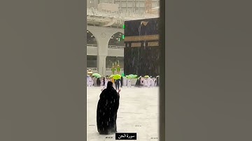 تلاوة خاشعة من الجن الآية١٨ بصوت#ياسر_الدوسري #حالات_واتس#المساجد #يدعوه#لبدا#أشرك #ضرا #رشدا#ملتحدا