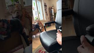 Professional assembly of premium leather executive  IKEA chair MILLBERGET  for an expat home-office