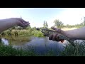 В поисках голавля. Река Анграпа. Рыбалка в Калининграде