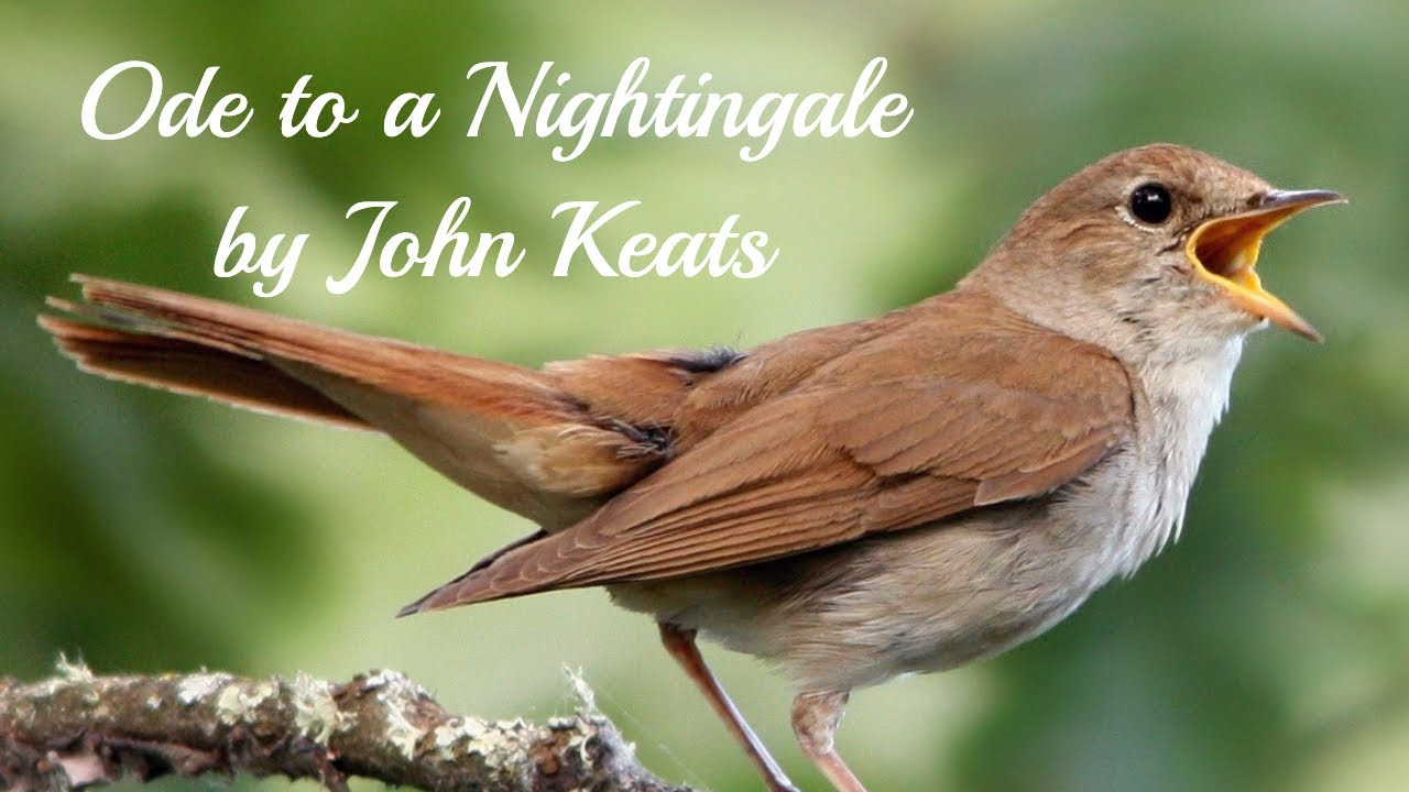 Ode To A Nightingale By John Keats With Text Read By Poet Arthur L