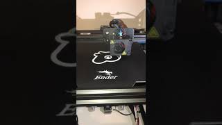 1st 3d print on our new Creality Ender 5 Pro.... a Peppa Pig cookie cutter! (Courtesy of Michelle)
