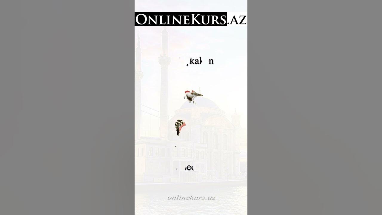 in arbeit auf türkisch
