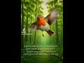 A gentle robin Discover more soulful artwork at pathfinderart.net and pathfinderart.org.