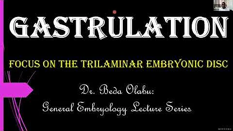 3RD WEEK OF DEVELOPMENT - GASTRULATION & DERIVATIVES OF GERM LAYERS