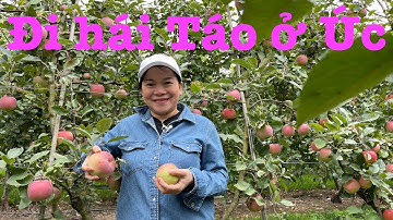 Cuộc sống Úc : Vì sao ở Úc thiếu người làm Farm