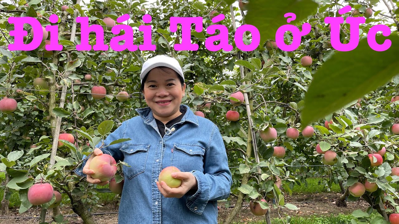 Cuộc sống Úc : Vì sao ở Úc thiếu người làm Farm