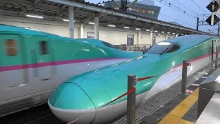 東北新幹線 雨のくりこま高原駅 高速通過  Shinkansen passing through Kurikoma Kōgen Station during heavy rain