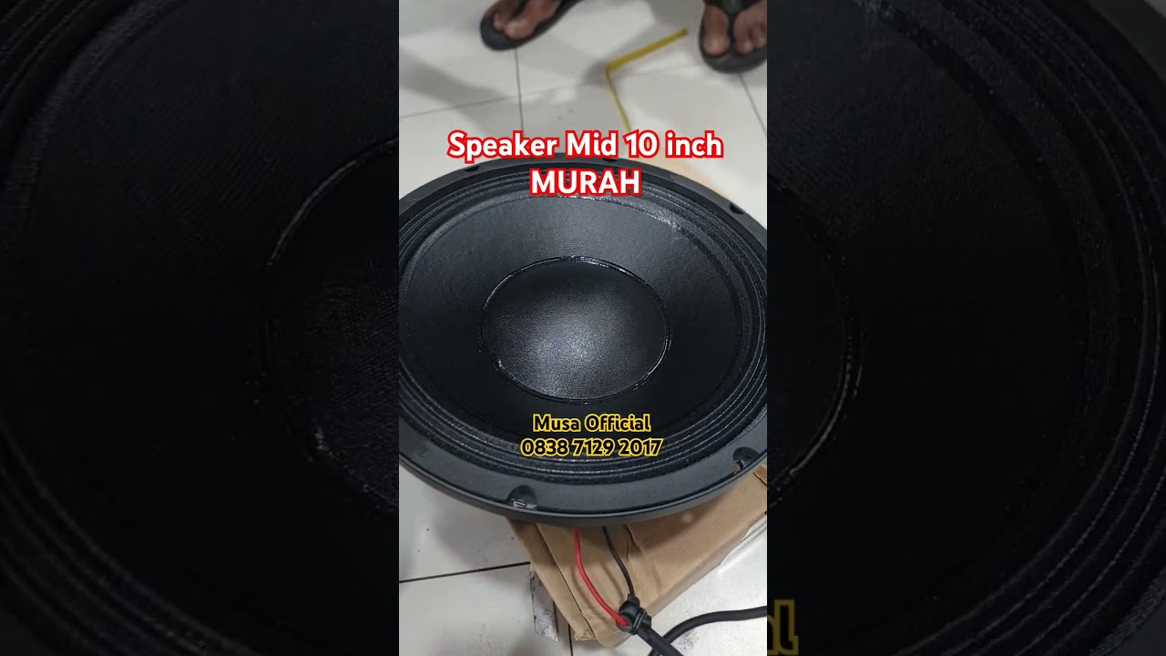 Speaker Mid 10 inch MURAH - Fest