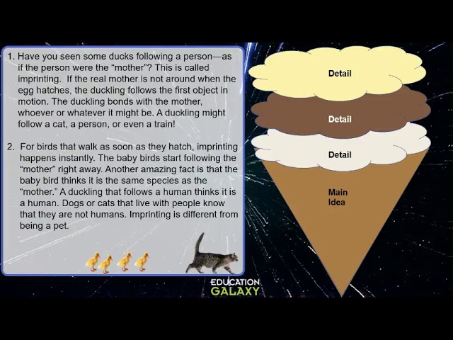 4th Grade - Reading - Main Idea and Supporting Details ...
