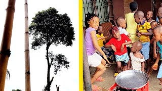 TREE CUTTING RITUAL IN NIGERIA | DO THIS, ELSE ???| Flo Chinyere
