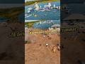 Still Deciding What to Do This Summer? 👀🌊 | Stoke Factory