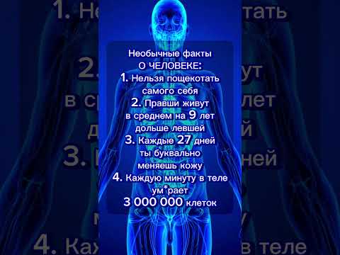 Необычные факты о