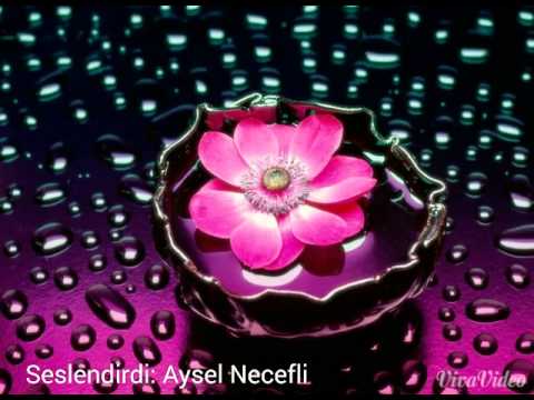 Aysel Necefli - Aci ask hikayesi