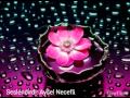 Download Aysel Necefli - Aci ask hikayesi Aysel Necefli - Aci ask hikayesi