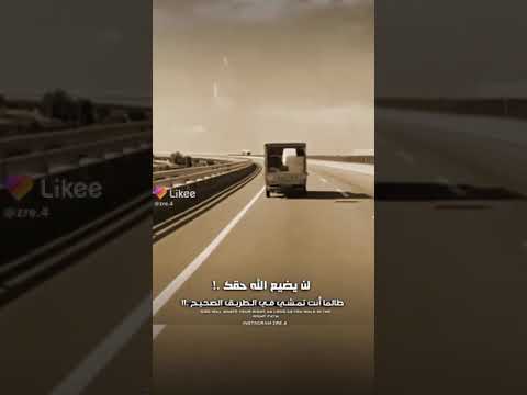 ١١ فبراير ٢٠٢٣