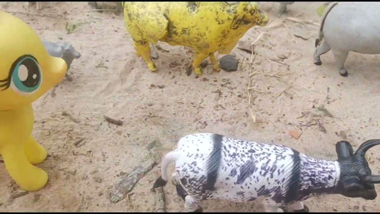 Ep:98 líder capturado! I FAMÍLIA EQUINA E BOVINA