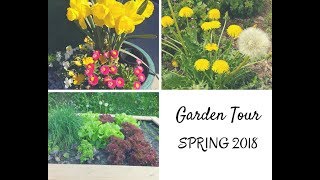 Garden tour  (Spring and Planting  2018 )