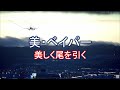 2021.04.29 美・ベイパー｜大阪空港ライブカメラ RWY32L on Short Final