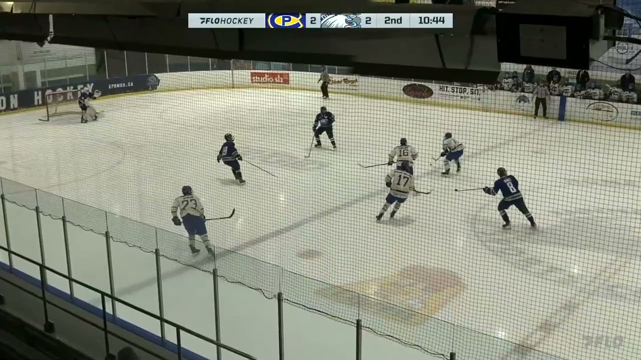 Dylan Michelow CCHL Gameplay - 6-2 Win (29 saves on 31 shots)