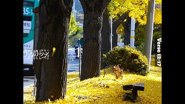 Surah Al-Isra/سورة الإسراء/Verse 12-17/Quran-e-Majeed Urdu-Hindi Translation