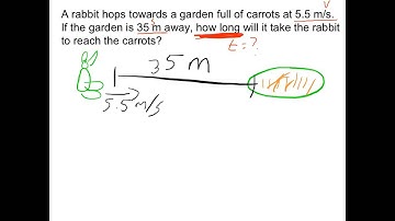 Problem Solving and Constant Velocity, Physics Tutorial #2, 24HourAnswers.com