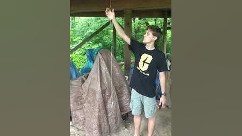 Phys 2101 Lab 9 Simple Harmonic Motion Video-Simon Hart