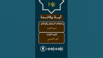 القارئ :أنور الشرعبي #قرآن #تلاوات #تيك_توك #حالات_واتس