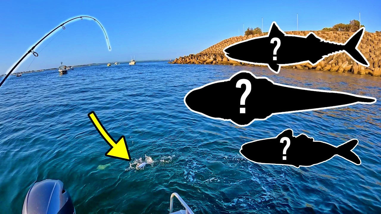 Botany Bay Boat Session → Port Hacking Dawn Flathead