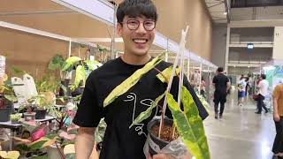 ขอซื้อ #ก้านส้มด่าง ต่อจากลูกค้า 33,000 บาท!!! 😝 | We Plant | We Plant Grow