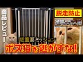 【脱走防止柵】商品紹介＆ゲートを設置された元野良ボス猫の反応